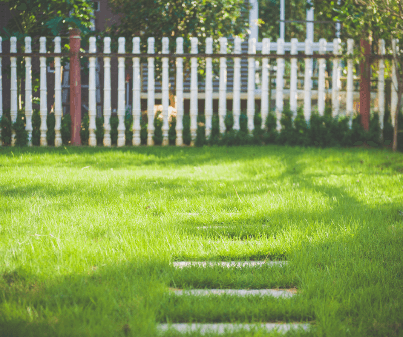 a yard with fence. a green grassy backyard