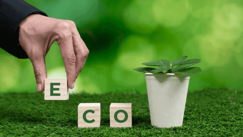 Hand arranging ECO letters by potted plant on grass