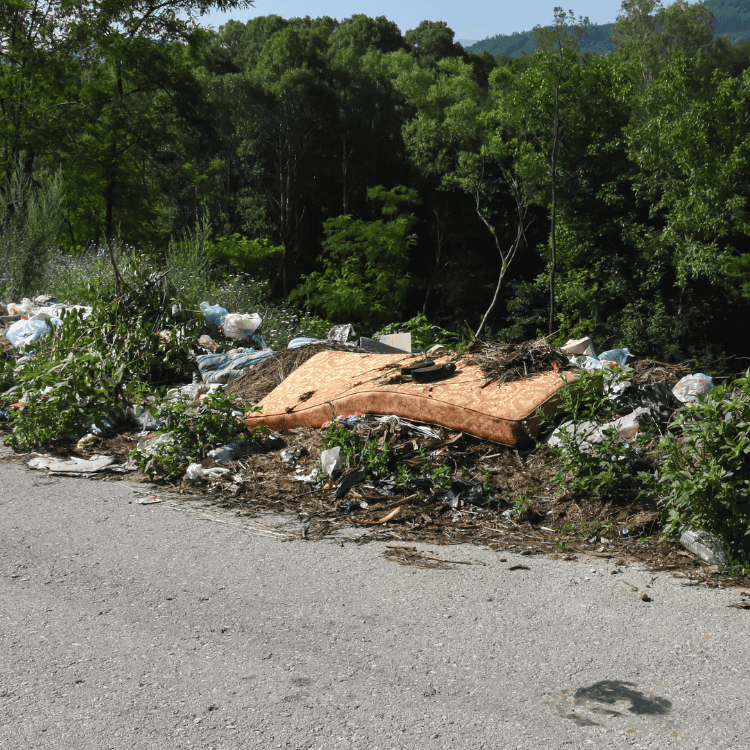 Littered roadside covered in trash and discarded items