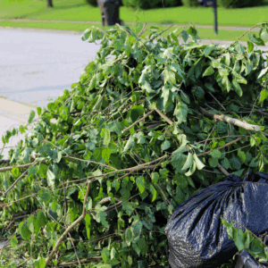 Pile of yard waste and black garbage bag on curb