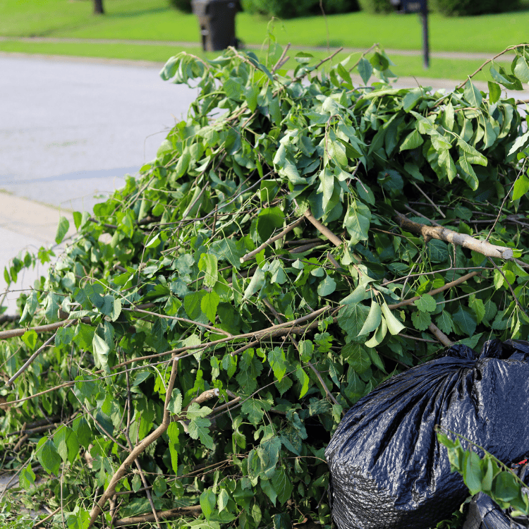 Pile of yard waste and black garbage bag on curb
