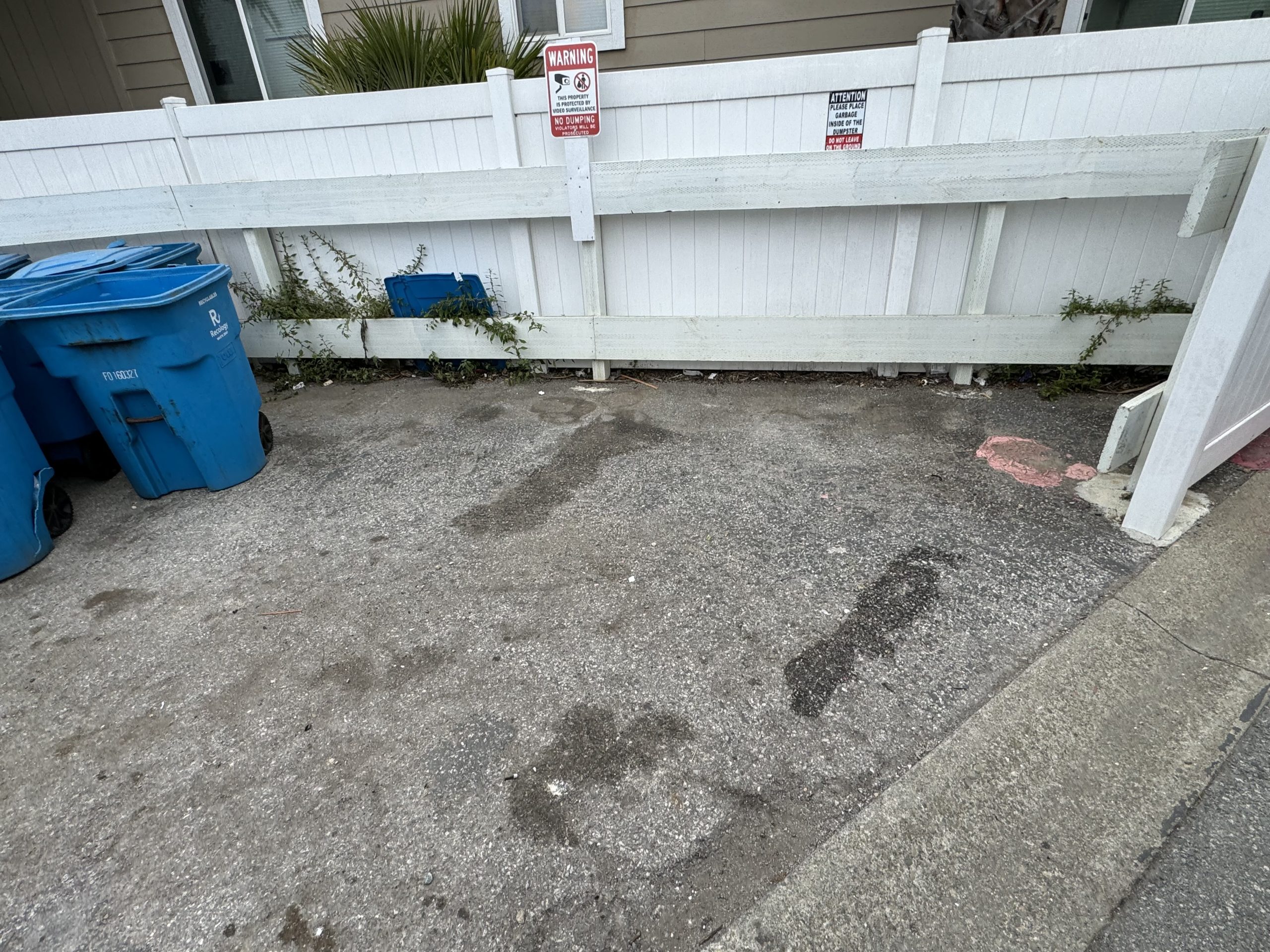 Cleaned up yard area