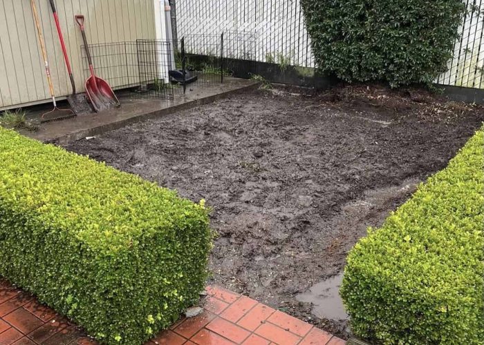 IMG_4945